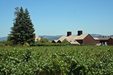 Farm