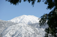 Yucaipa